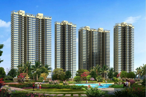 三亞鷺港生紙的醉大因素是什么？