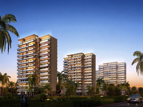 海南珠江南田57°