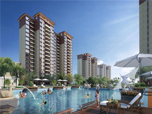 2021項(xiàng)目?jī)?yōu)缺點(diǎn)分析