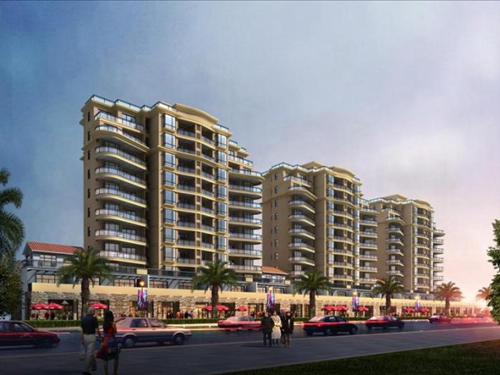 金手指·三亞一號(hào)價(jià)格漲跌分析！